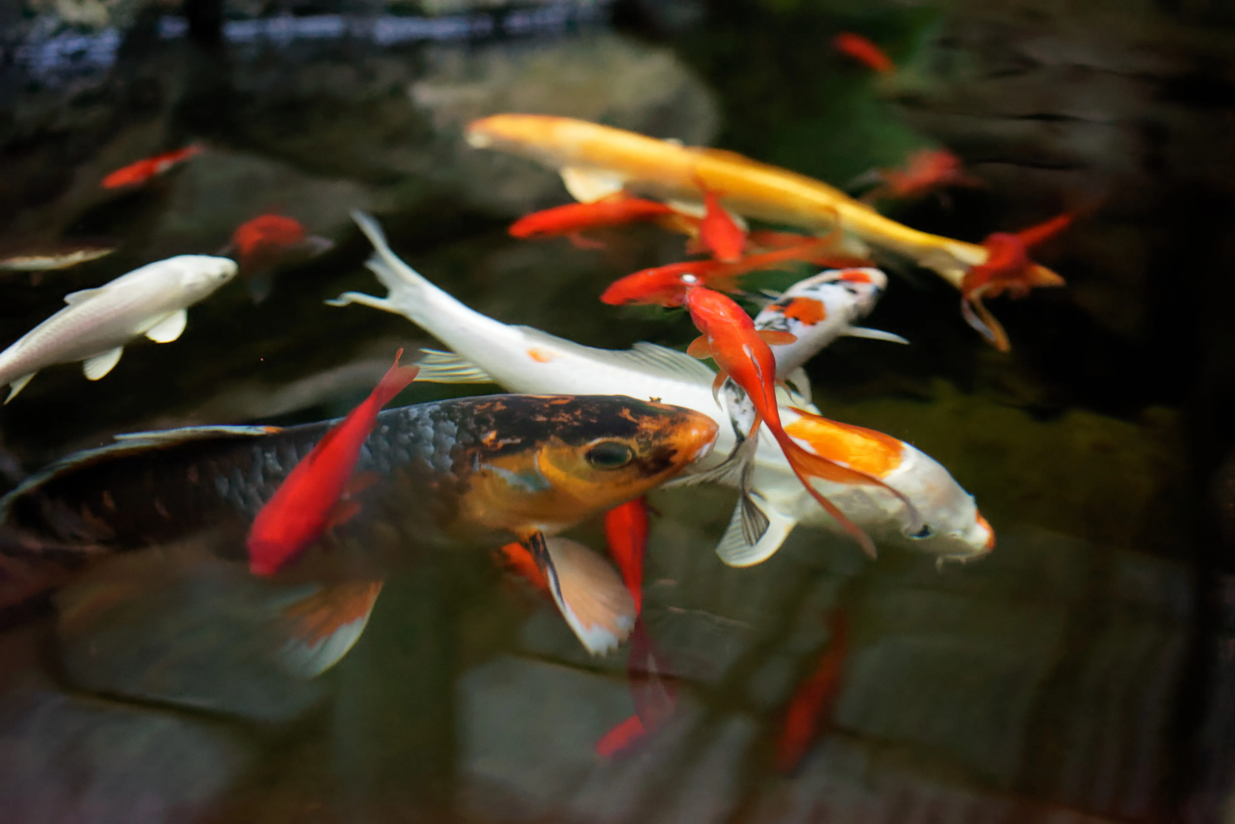 Category: instructions