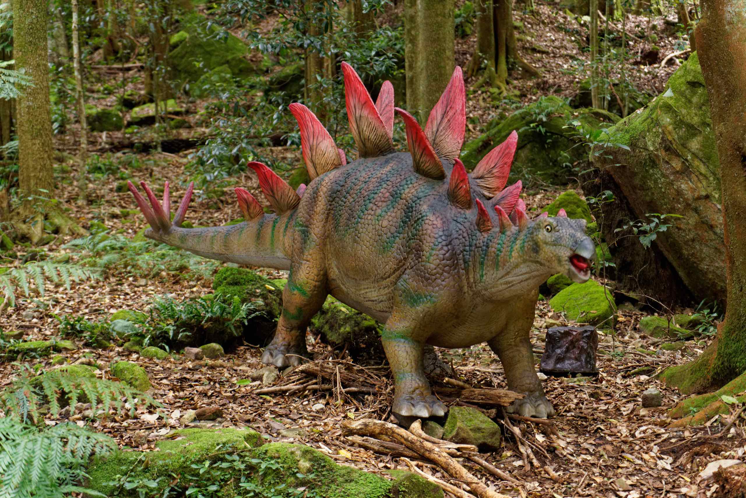Dinosaurs at Scenic World featured image