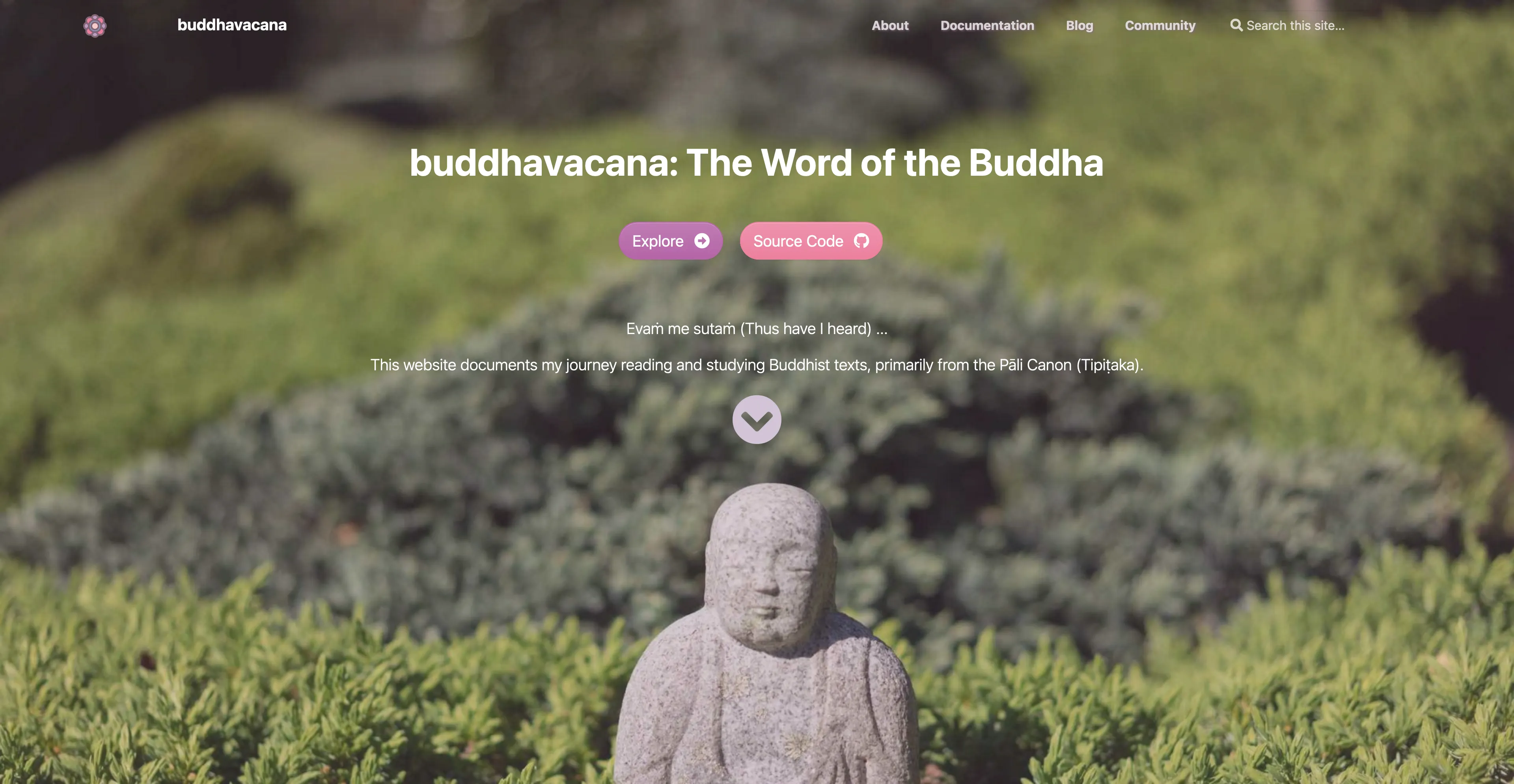 Buddhavacana