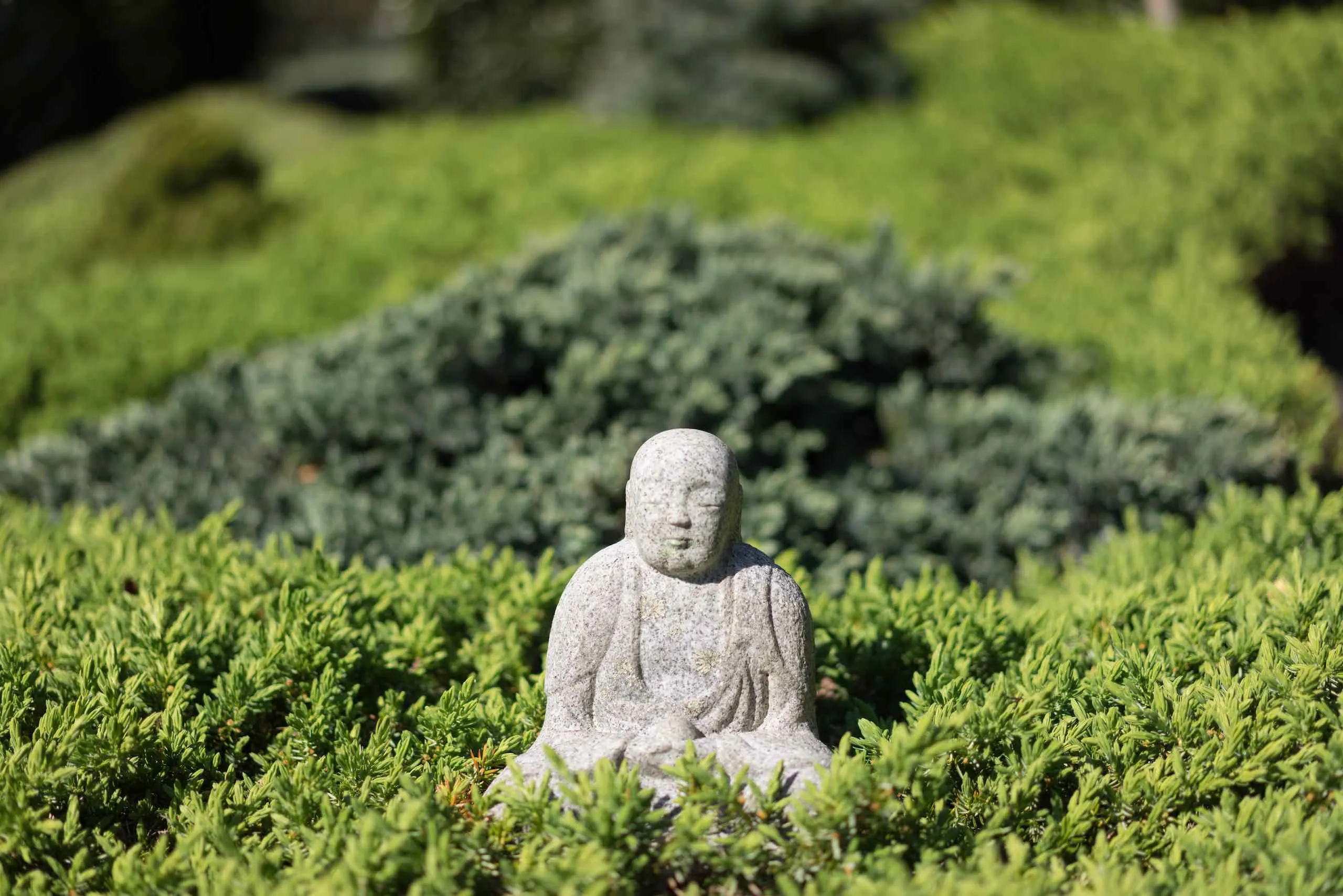 The Buddha and Mt Sumeru